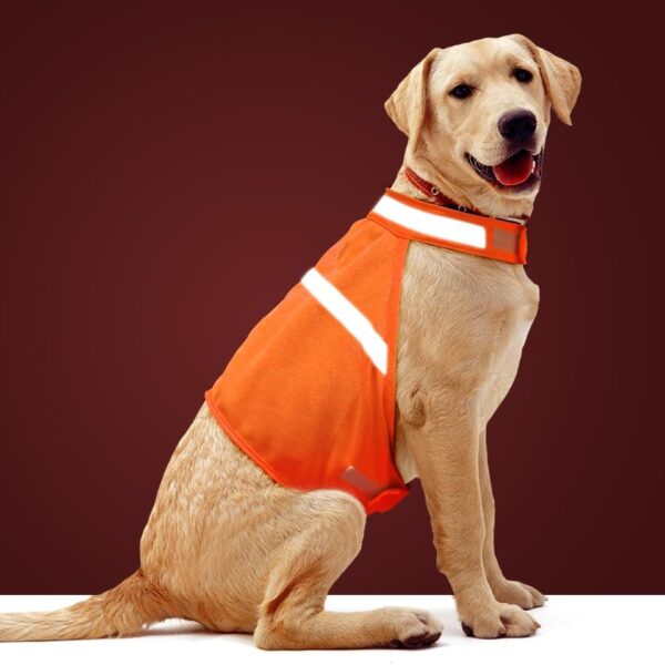Dog Jacket High Visibility Safety Reflective Dog Vest for Small Medium Large Dogs (Large, Orange)