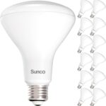 Sunco 12 Pack BR30 Light Bulbs LED, Recessed Can Light Bulbs, Indoor Flood Bulb, 850 LM, 11W (65W Equivalent), 5000K Daylight LED Bulb, Dimmable, E26 Base, for Home, Kitchen, Bedroom UL