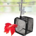 DaToo 3 Inch Aquarium Fish Net for Betta Fish Tank Nano Nylon Net with Extendable Handle 6-16 Inch, 1 Yr Warranty