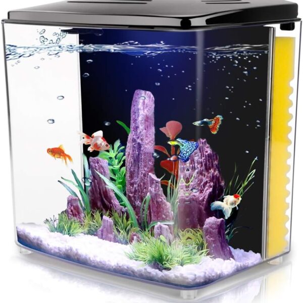 FREESEA 1.4 Gallon Betta Aquarium Starter Kits Square Fish Tank with LED Light and Filter Pump