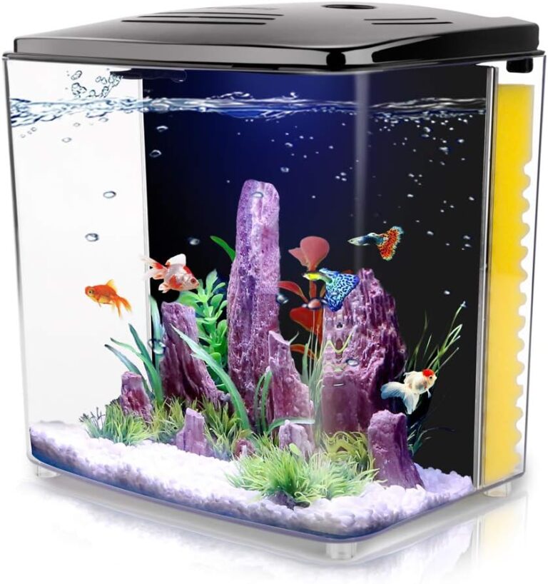 FREESEA 1.4 Gallon Betta Aquarium Starter Kits Square Fish Tank with LED Light and Filter Pump