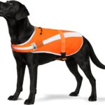Reflective Dog Hunting Vest  Blaze Orange Safety Vest with Removable Bell, Waterproof and Lightweight (M)