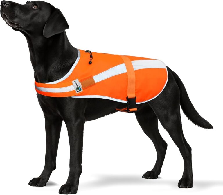 Reflective Dog Hunting Vest  Blaze Orange Safety Vest with Removable Bell, Waterproof and Lightweight (M)
