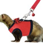 Rypet Small Animal Harness and Leash - Soft Mesh Pet Harness with Safe Bell, No Pull Comfort Padded Vest for Small Pet Red