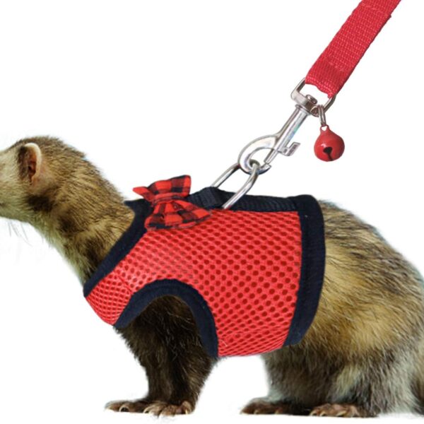 Rypet Small Animal Harness and Leash - Soft Mesh Pet Harness with Safe Bell, No Pull Comfort Padded Vest for Small Pet Red