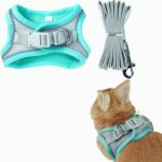 Pet Harness,Rabbit Harness and Leash Set, Breathable Pet Vest, Reflective Strips Jacket for Small Kitten, Puppy, Rabbit (Green,M)