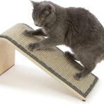 SmartyKat Sisal Angle Ramp Cat Scratcher, Natural Woven Sisal Surface & Stable Wooden Structure with Organic Catnip