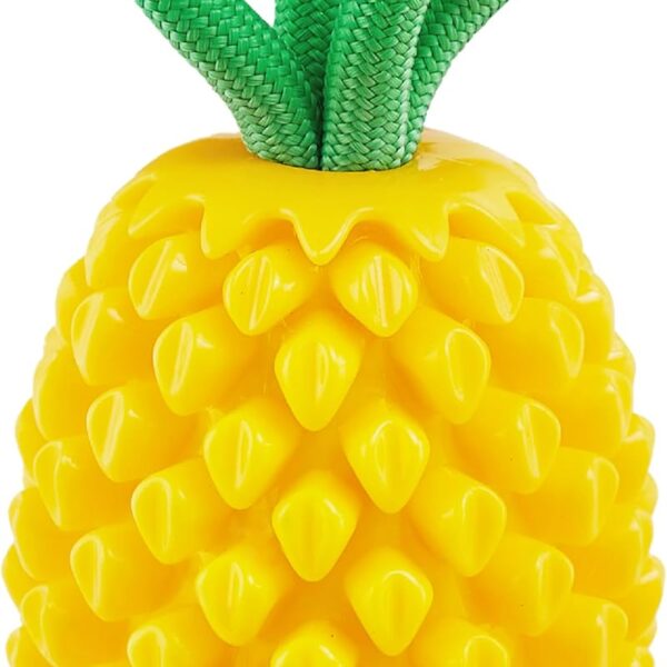 Outward Hound Dental Pineapple Dog Toy & Treat Stuffer, 6.8 x 3.3 Pineapple-Scent Interactive Chew for Dogs, Promote Healthy Teeth, Gums & Mental Enrichment, Reduce Boredom & Support Dental Health