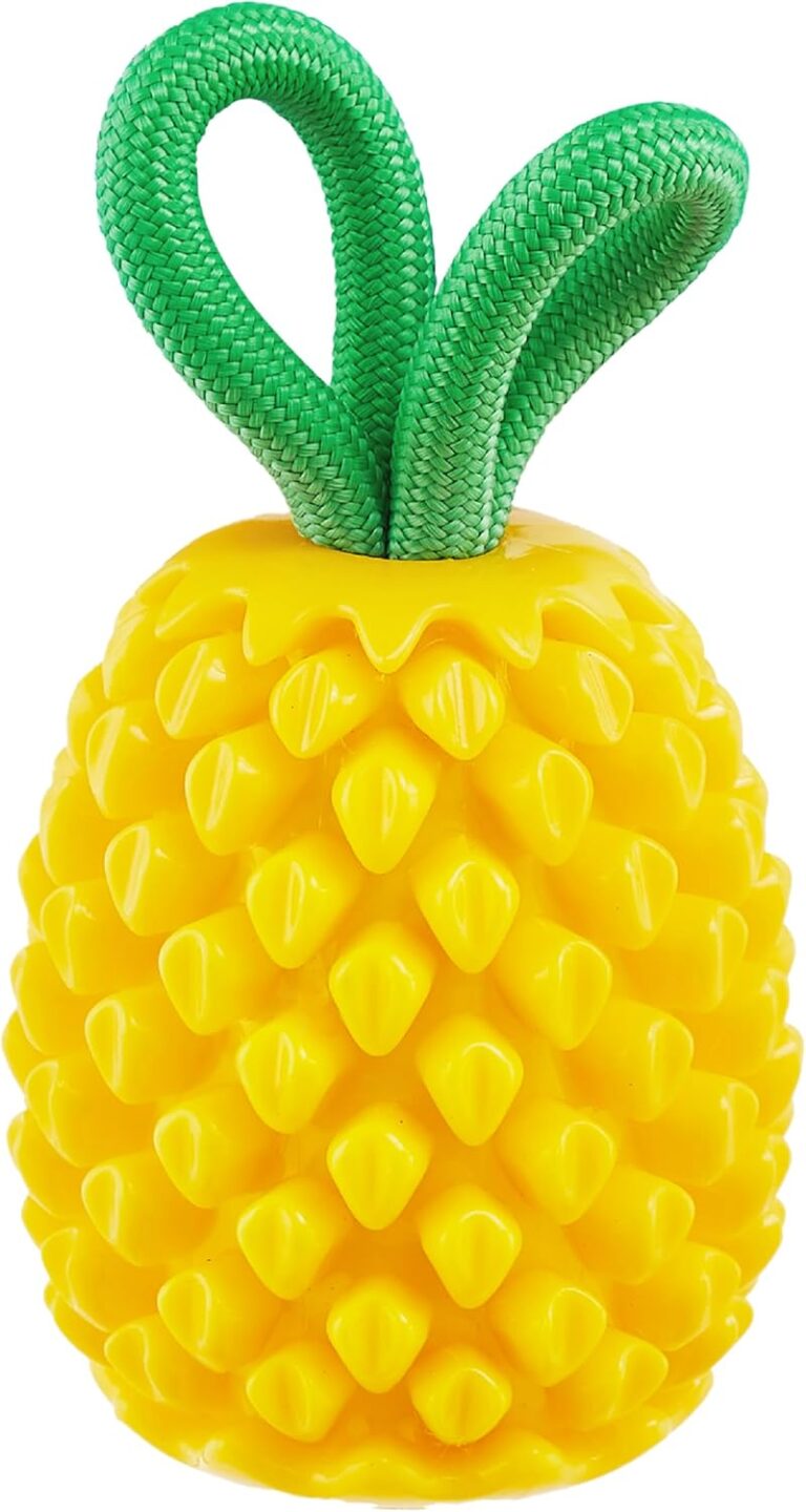 Outward Hound Dental Pineapple Dog Toy & Treat Stuffer, 6.8 x 3.3 Pineapple-Scent Interactive Chew for Dogs, Promote Healthy Teeth, Gums & Mental Enrichment, Reduce Boredom & Support Dental Health