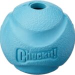 Chuckit! High-Bounce Rubber Fetch Ball, Large (3 Inch), Pack of 1, Assorted Colors, For Large Breeds
