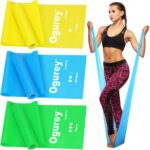 Resistance Bands, Professional Exercise Bands, Physical Therapy Bands for Strength Training, Yoga, Pilates, Stretching, Recovery, Stretch Elastic Band for Working Out, Workout Bands for Home Gym