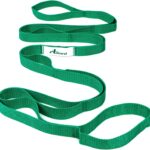 Abiarst Stretching Strap Yoga Straps for Physical Therapy, 10 Loops Non-Elastic Stretch Band for Pilates, Flexibility, Exercise and Gymnastics