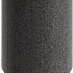 Audio Pro A10 MKII Wireless Multiroom Speaker, WiiM Edition | High Fidelity, Bluetooth, WiFi | Compatible with AirPlay 2, Google Cast, Siri, WiiM Home App, Stream Spotify, Tidal & More, Dark Gray