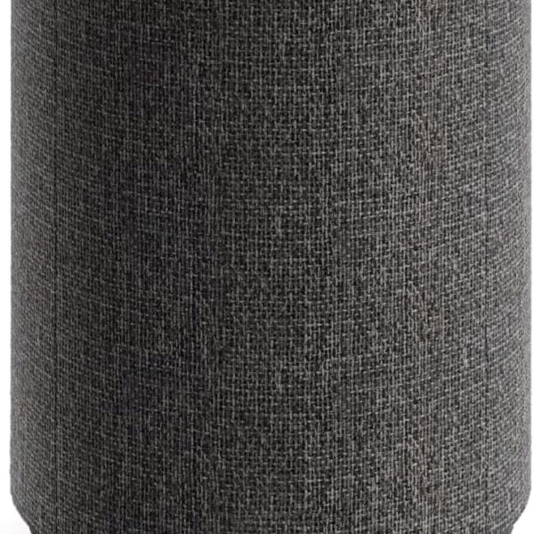 Audio Pro A10 MKII Wireless Multiroom Speaker, WiiM Edition | High Fidelity, Bluetooth, WiFi | Compatible with AirPlay 2, Google Cast, Siri, WiiM Home App, Stream Spotify, Tidal & More, Dark Gray