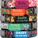 Personalized Floral Dog Collar with Name and Phone Number | Durable Metal Buckle | Cute Flower Girl Boy Dog Collar | Adjustable for Large Medium and Small Dogs