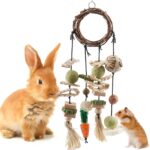 Bissap Bunny Chew Toy, Rabbits Cage Hanging Chew Toys and Treats Grapevine Wreaths Rattan Ring with Snacks for Guinea Pigs Chinchillas Hamsters Rats and Other Small Pets Teeth Grinding