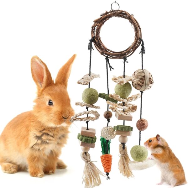 Bissap Bunny Chew Toy, Rabbits Cage Hanging Chew Toys and Treats Grapevine Wreaths Rattan Ring with Snacks for Guinea Pigs Chinchillas Hamsters Rats and Other Small Pets Teeth Grinding