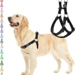 PUPTECK No Pull Dog Harness Soft Adjustable Basic Nylon Step in Puppy Vest Outdoor Walking with ID Tag Medium