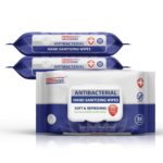 Germisept Antibacterial Hand Sanitizing Wipes Bulk Buy ((50 Count x 3 Pack = 150 Wipes))
