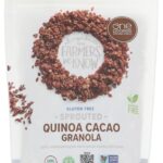 ONE DEGREE ORGANIC FOODS Organic Quinoa Cacao Sprouted Oat Granola, 11 OZ