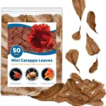 SunGrow 50 Pcs Mini Catappa Indian Almond Leaves for Betta Fish Aquarium, Shrimp, Frogs, Improves Habitat, Gives Tea Color, Helps in Lowering Aquarium Water pH, Improves Immunity
