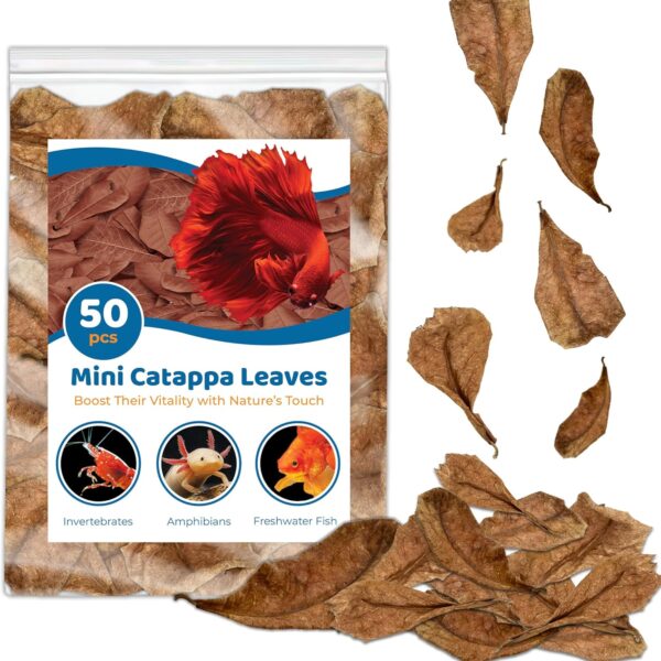 SunGrow 50 Pcs Mini Catappa Indian Almond Leaves for Betta Fish Aquarium, Shrimp, Frogs, Improves Habitat, Gives Tea Color, Helps in Lowering Aquarium Water pH, Improves Immunity