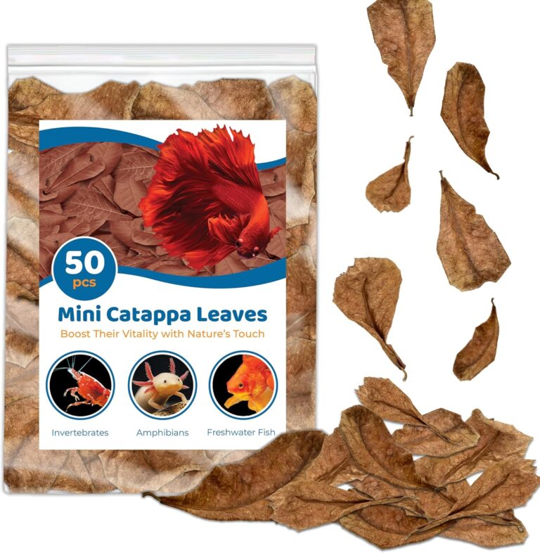 SunGrow 50 Pcs Mini Catappa Indian Almond Leaves for Betta Fish Aquarium, Shrimp, Frogs, Improves Habitat, Gives Tea Color, Helps in Lowering Aquarium Water pH, Improves Immunity