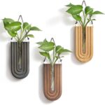 GRID FORTE Wood Wall Planter Indoor, Propagation Station, Wooden Hanging Vase for Dried Flowers, Plant Holder, Boho Wall Dcor for Living Room Rainbow U Shape (Set of 3)