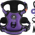 IVY&LANE No Pull Dog Harness for Medium Dogs, Dog Vest Harness with Leash, Safety Belt and Storage Strap, Fully Adjustable Harness, 360 Reflective Strip, Soft Handle (Purple, M)