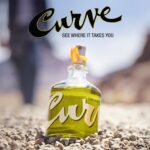 Curve Men’s Cologne Fragrance Spray, Spicy Wood Magnetic Scent for Day or Night, 6.8 Fl Oz