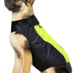 Vizpet Dog Raincoat Waterproof Coats,Dog Jacket High Visibility Warm Vest Dog Clothes for Small Medium Large Dogs(Green-M)