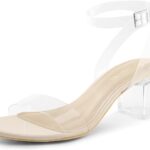 DREAM PAIRS Women's Open Toe Ankle Strap Low Block Chunky Heels Sandals Party Dress Pumps Shoes