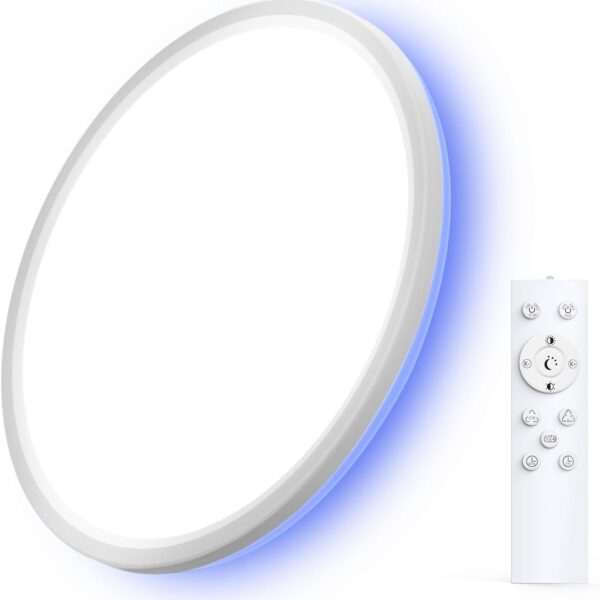 LEPOWER-TEC LED Flush Mount Ceiling Light with Remote, 12 Inch 24W 2600LM Wired RGB Ceiling Lights Fixture with Nightlight and Timer, 3000K-6500K Dimmable Lights for Bedroom, Kitchen, Hallway, 1 Pack