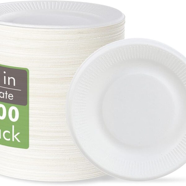 Vplus 100% Compostable Small Paper Plates, 300 Pack 6 Inch Disposable Paper Plates, Uncoated Biodegradable, Made of Sugar Cane Fibers, Perfect for Sandwich, Cake, and Snack