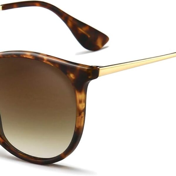 SUNGAIT Premium Vintage Round Sunglasses for Women Men Classic Retro Trendy Style