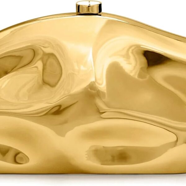 Acrylic Clutch Purse for Women Evening Bag, Irregular Shell Acrylic Purse Box Clutch with Chain for Party Wedding Prom