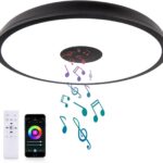 Black Smart Waterproof LED Flush Mount Ceiling Light Fixture,18W,with Bluetooth Speaker,RGB Color Changing Function-Dimmable Lamp,Tuya Application Control-Compatible with Alexa Google Home