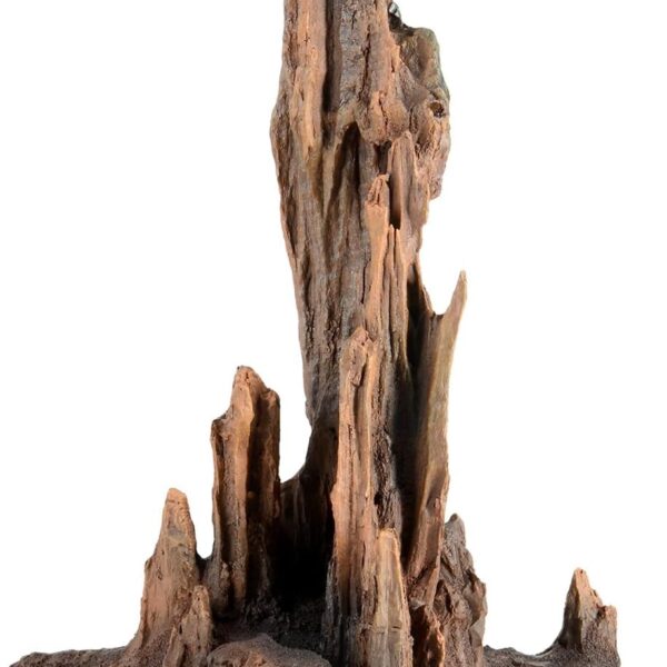 Underwater Treasures Petrified Wood - Large