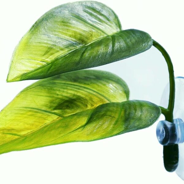 Betta Fish Leaf Pad Simulating The Natural Habitat for Betta Spawning Grounds Breeding Resting Bed Plastic Suction Cup (1 Pcs)