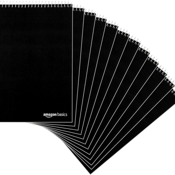 Amazon Basics Steno Notebooks, Gregg Rule, Green Paper for Notes, 80 Sheets, 6" x 9", 12-Pack