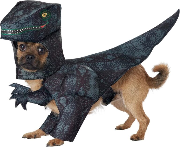California Costumes Dog Pupasaurus Rex Costume X-Small