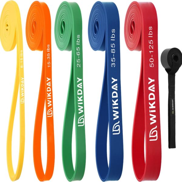 WIKDAY Resistance Bands, Pull Up Bands, Workout Bands for Exercise, Thick Heavy Resistance Band Set with Door Anchor, Elastic Bands for Body Stretching, Training at Home/Gym for Men & Women