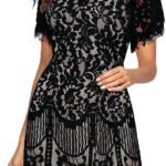 MSLG Women's Elegant Round Neck V-Back Wedding Guest Floral Lace Cocktail Party A Line Dress 910