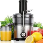 Juicer Machines, 1200W Juicer with 3" Feed Chute for Whole Fruits and Vegs, Dual Speeds Centrifugal Juice Extractor, Heavy Duty Full Copper Motor, 35oz Large Juice Jug, Stainless Steel