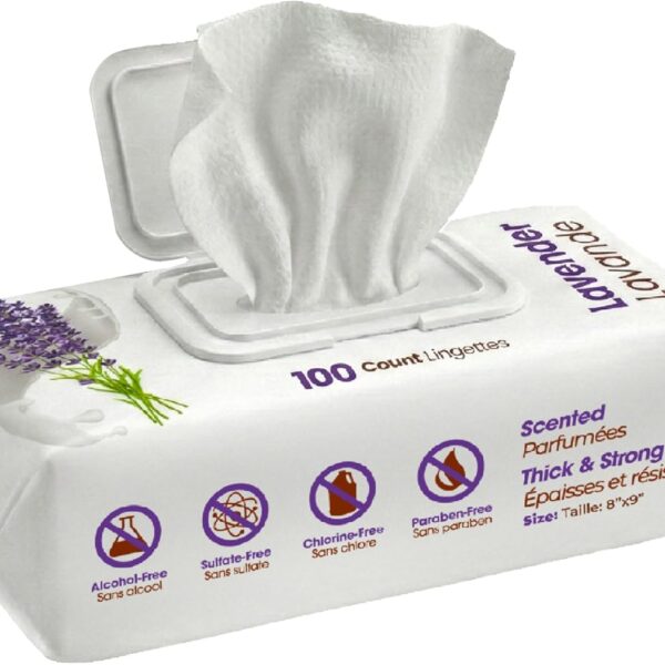Best Pet Supplies 8" x 9" Large Dog Wipes - Cleaning and Deodorizing for Paws and Coat - Gentle Formula with Lavender Vitamin E for Puppies and Cats - 100 Count