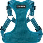 Best Pet Supplies Voyager Adjustable Step-in Flex Breathable Mesh Dog Harness for Small Medium Large Dogs (Turquoise), M