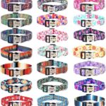 Personalized Custom Customized Dog Collar with Engraved ID Tag Name Plate and Phone Number/Heavy Duty Adjustable Dog Collars for Puppy X-Small Small Medium Large X-Large Boy Girl Dogs