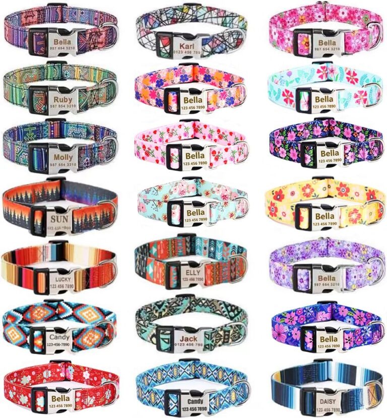 Personalized Custom Customized Dog Collar with Engraved ID Tag Name Plate and Phone Number/Heavy Duty Adjustable Dog Collars for Puppy X-Small Small Medium Large X-Large Boy Girl Dogs