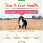 Open Farm, Skin & Coat Health Dog Food, Veterinarian Formulated Kibble with Salmon Oil and Vitamin E to Support Healthy Skin & A Shiny Coat, Wild-Caught Salmon & Oatmeal Recipe, 4lb Bag
