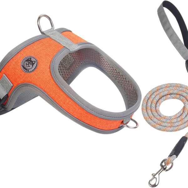 Dog Harness and Leash Set, No Pull Saddle Style Pet Harness, Breathable Mesh Adjustable Reflective Dog Vest for Dogs and Cat Medium Small Harness 2 D-Rings (Orange, S)